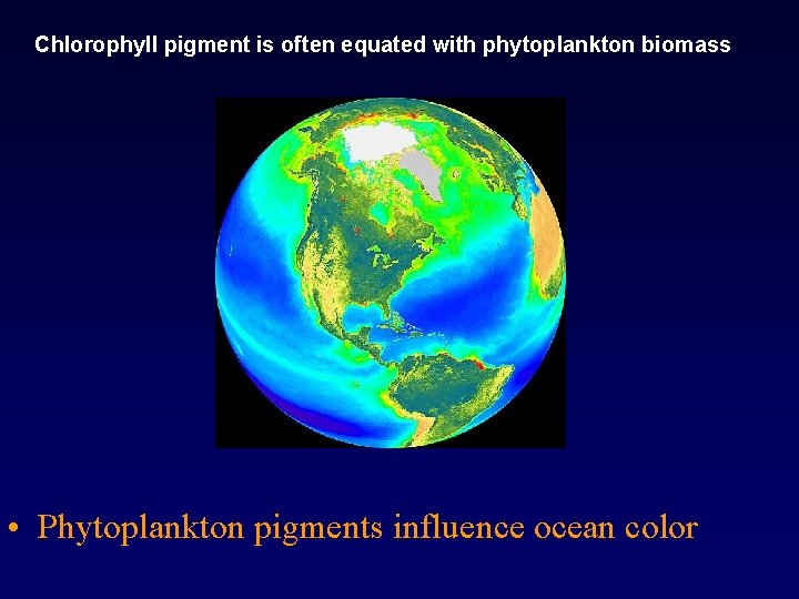 Chlorophyll pigment is often equated with phytoplankton biomass • Phytoplankton pigments influence ocean color