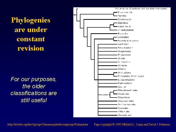 Phylogenies are under constant revision For our purposes, the older classifications are still useful