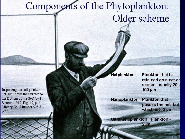 Components of the Phytoplankton: Older scheme Netplankton: Inspecting a small plankton net. In: "From