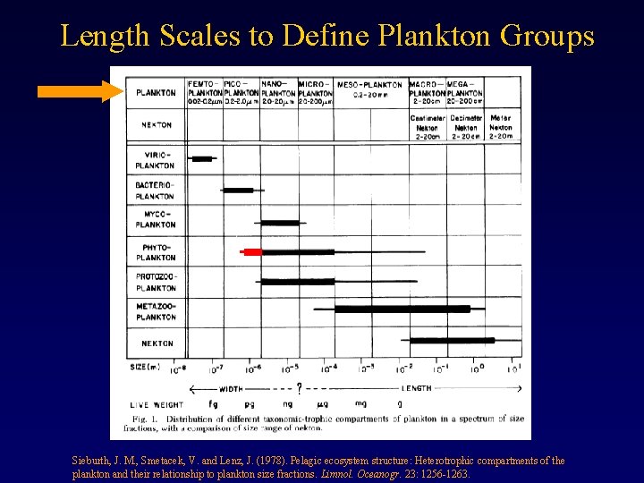Length Scales to Define Plankton Groups Sieburth, J. M. , Smetacek, V. and Lenz,