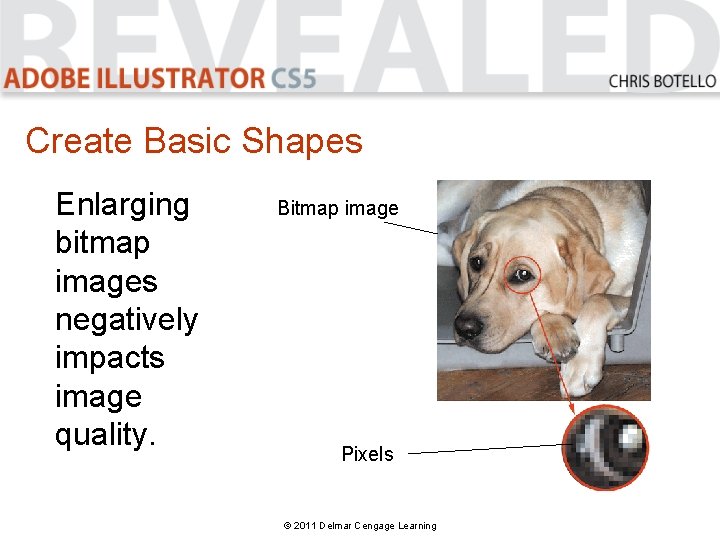 Create Basic Shapes Enlarging bitmap images negatively impacts image quality. Bitmap image Pixels ©