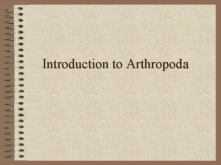 Introduction to Arthropoda 