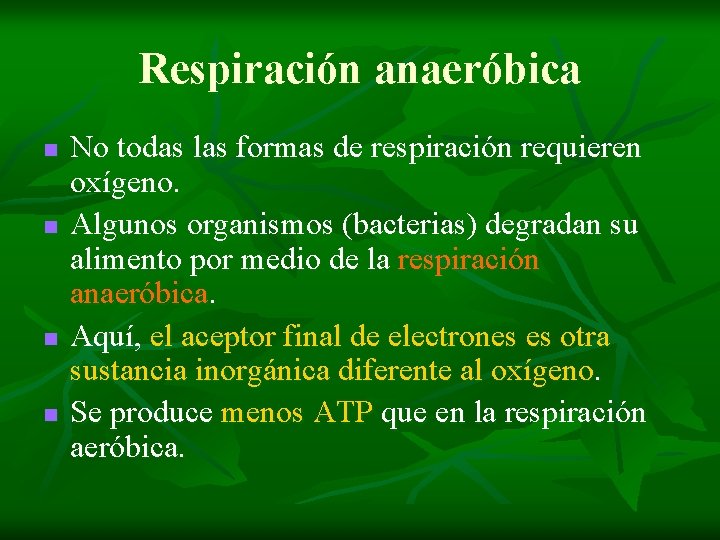 Respiración anaeróbica n n No todas las formas de respiración requieren oxígeno. Algunos organismos Respiración anaeróbica n n No todas las formas de respiración requieren oxígeno. Algunos organismos