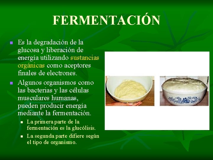 FERMENTACIÓN n n Es la degradación de la glucosa y liberación de energía utilizando FERMENTACIÓN n n Es la degradación de la glucosa y liberación de energía utilizando