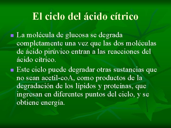 El ciclo del ácido cítrico n n La molécula de glucosa se degrada completamente El ciclo del ácido cítrico n n La molécula de glucosa se degrada completamente