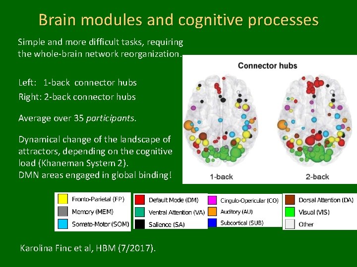 Brain modules and cognitive processes Simple and more difficult tasks, requiring the whole-brain network