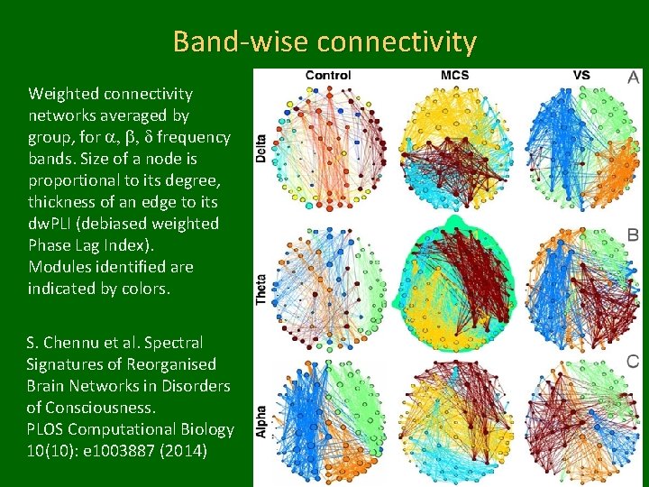 Band-wise connectivity Weighted connectivity networks averaged by group, for a, b, d frequency bands.