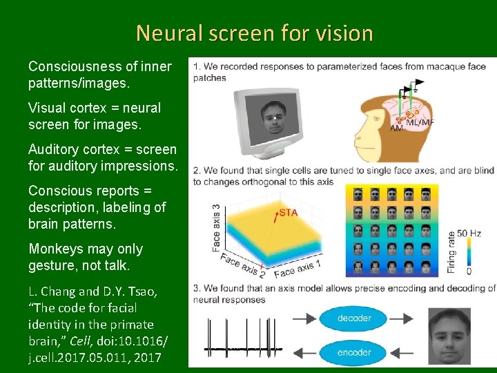 Neural screen for vision Consciousness of inner patterns/images. Visual cortex = neural screen for