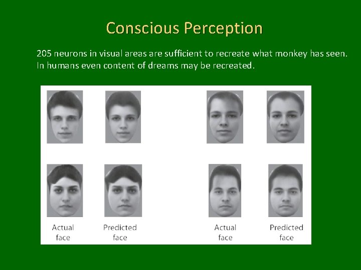 Conscious Perception 205 neurons in visual areas are sufficient to recreate what monkey has