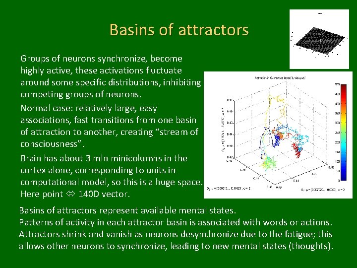 Basins of attractors Groups of neurons synchronize, become highly active, these activations fluctuate around