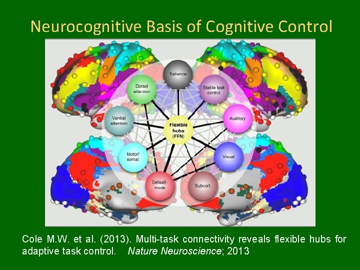 Neurocognitive Basis of Cognitive Control Cole M. W. et al. (2013). Multi-task connectivity reveals