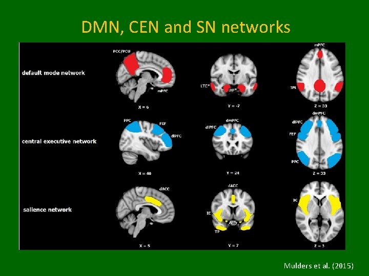 DMN, CEN and SN networks Mulders et al. (2015) 
