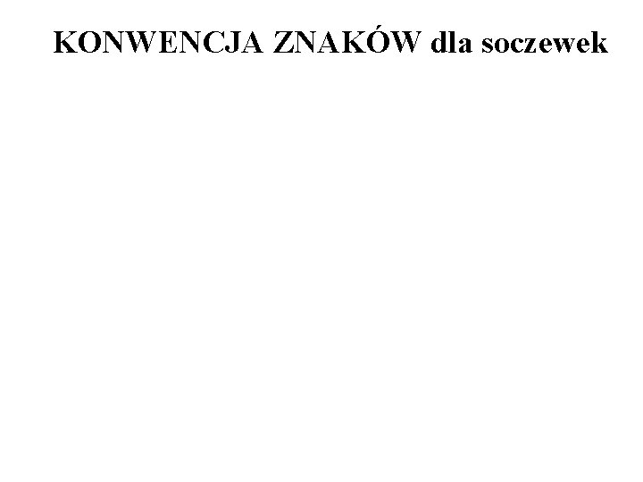 KONWENCJA ZNAKÓW dla soczewek 