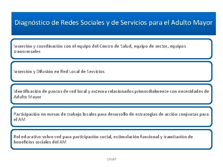 Diagnóstico de Redes Sociales y de Servicios para el Adulto Mayor Inserción y coordinación