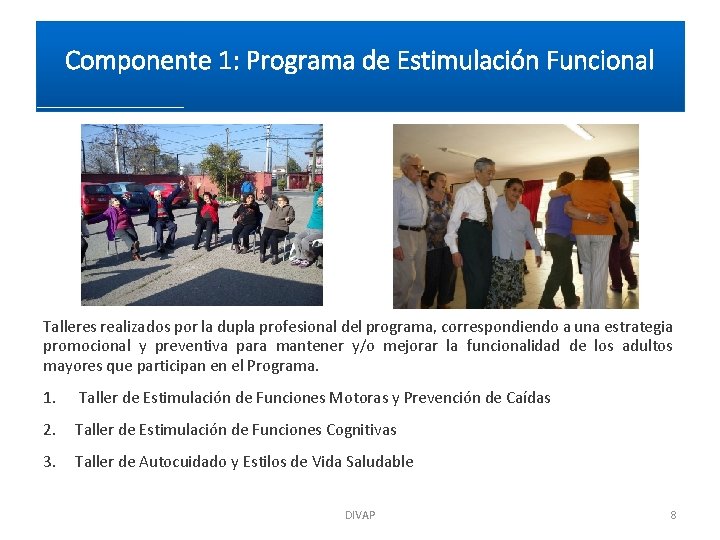 Componente 1: Programa de Estimulación Funcional Talleres realizados por la dupla profesional del programa,