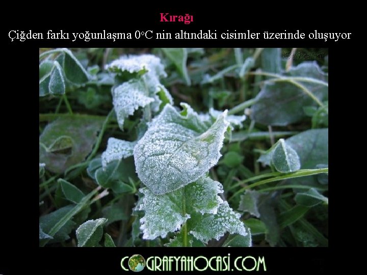 Kırağı Çiğden farkı yoğunlaşma 0 o. C nin altındaki cisimler üzerinde oluşuyor. 
