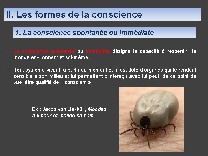 II. Les formes de la conscience 1. La conscience spontanée ou immédiate - La