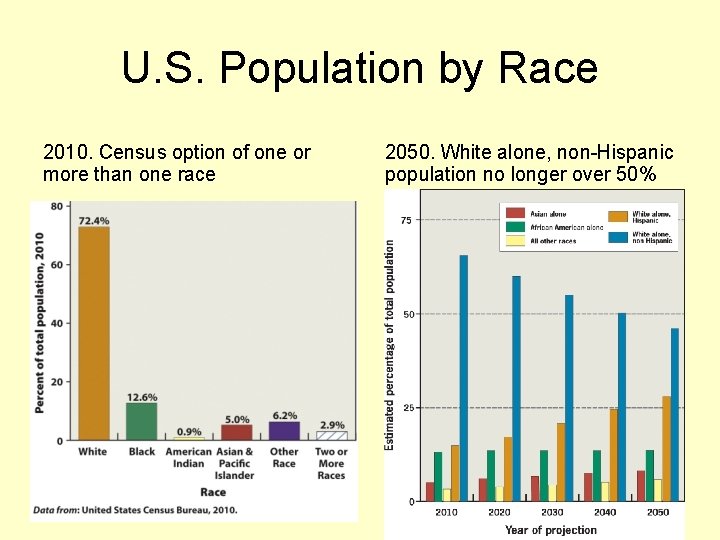 U. S. Population by Race 2010. Census option of one or more than one