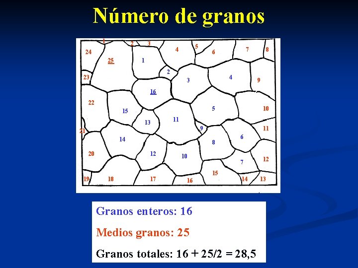 Número de granos 1 2 3 25 5 4 24 7 6 8 1