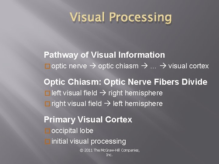 Visual Processing Pathway of Visual Information � optic nerve optic chiasm … visual cortex