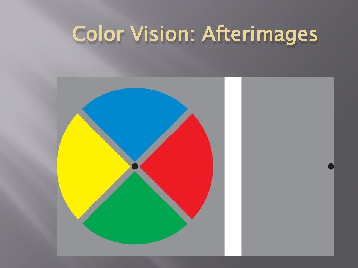Color Vision: Afterimages © 2011 The Mc. Graw-Hill Companies, Inc. 
