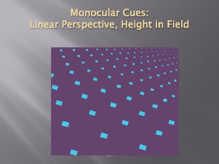 Monocular Cues: Linear Perspective, Height in Field © 2011 The Mc. Graw-Hill Companies, Inc.