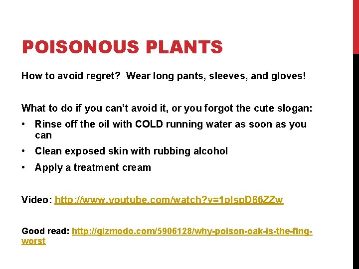 POISONOUS PLANTS How to avoid regret? Wear long pants, sleeves, and gloves! What to