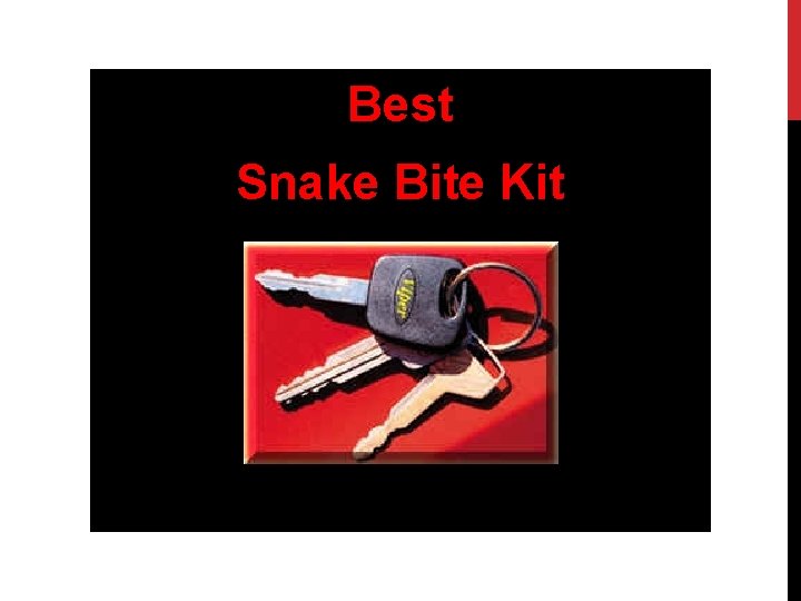 Best Snake Bite Kit 