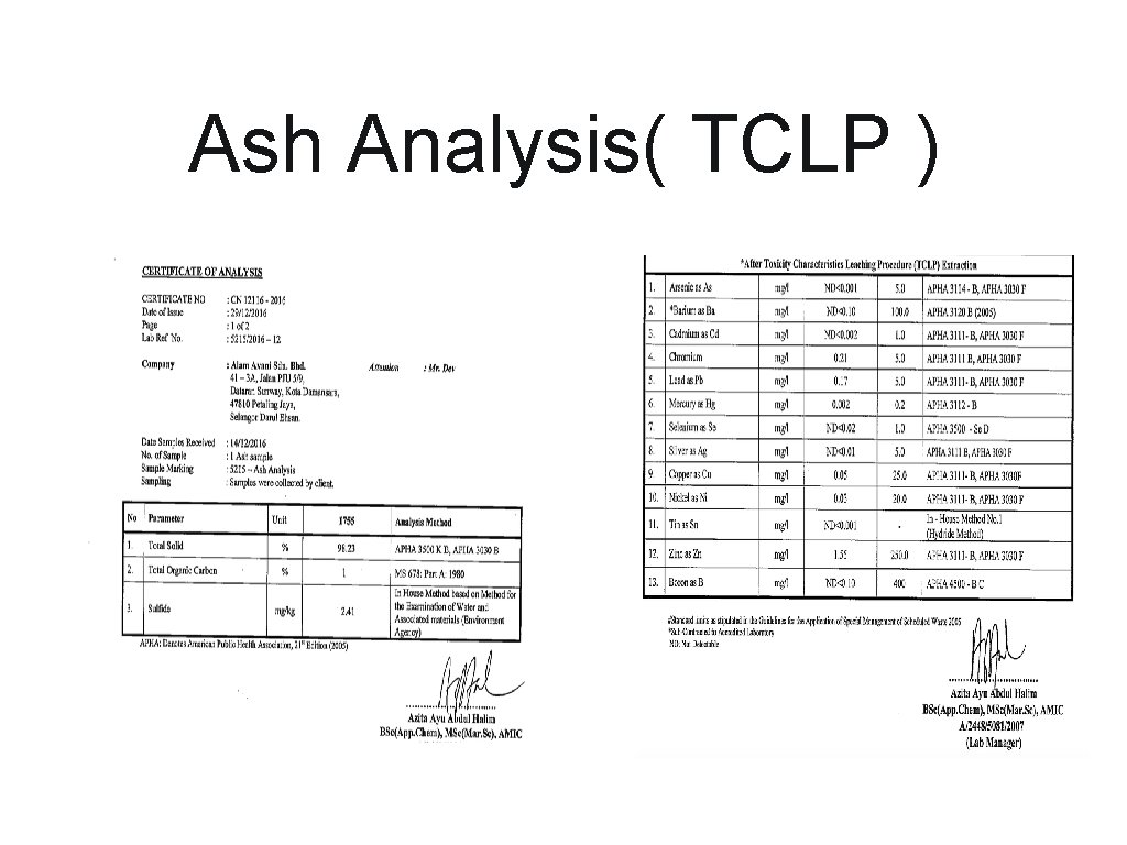 Ash Analysis( TCLP ) 