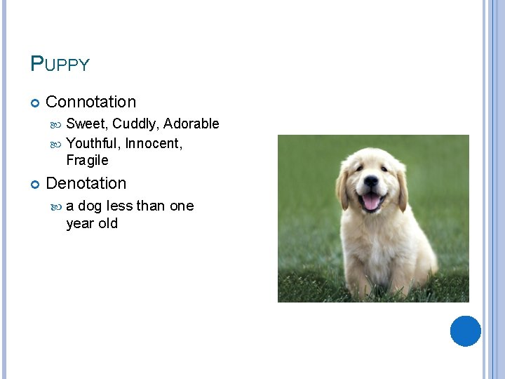 PUPPY Connotation Sweet, Cuddly, Adorable Youthful, Innocent, Fragile Denotation a dog less than one