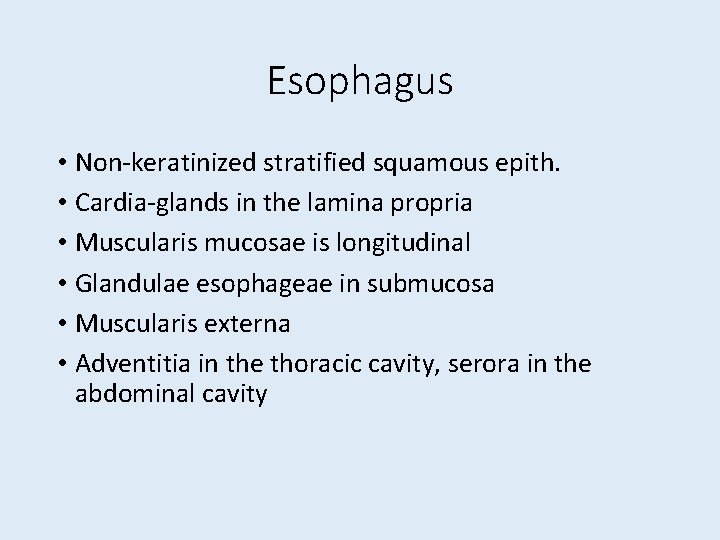 Esophagus • Non-keratinized stratified squamous epith. • Cardia-glands in the lamina propria • Muscularis