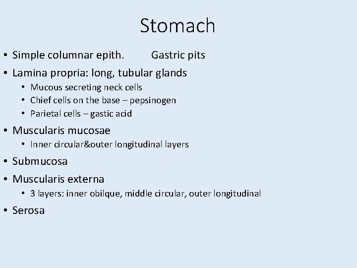 Stomach • Simple columnar epith. Gastric pits • Lamina propria: long, tubular glands •