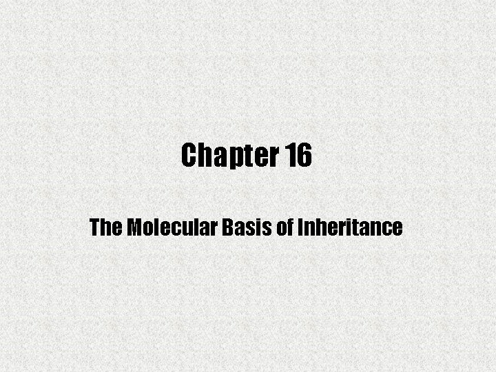 Chapter 16 The Molecular Basis of Inheritance 