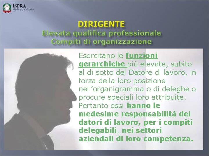 Esercitano le funzioni gerarchiche più elevate, subito al di sotto del Datore di lavoro,