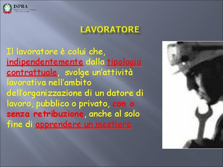 Il lavoratore è colui che, indipendentemente dalla tipologia contrattuale, svolge un’attività lavorativa nell’ambito dell’organizzazione