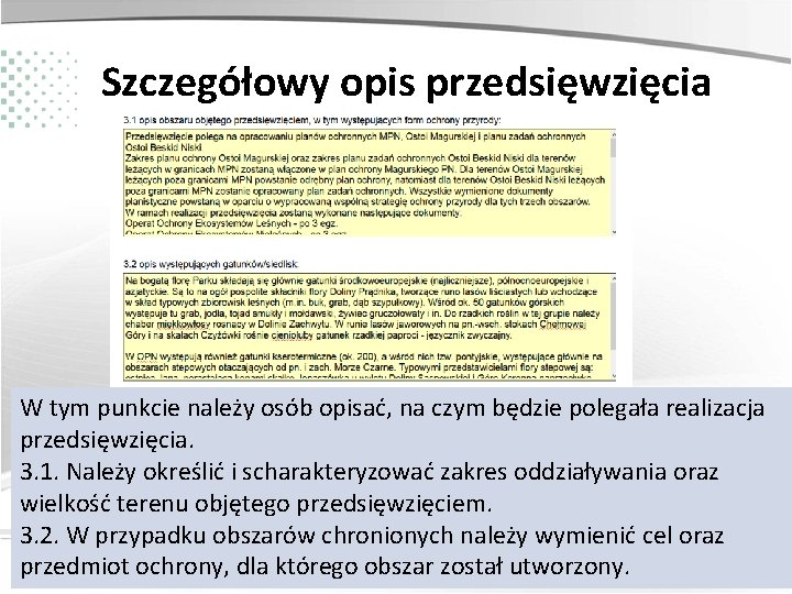 Szczegółowy opis przedsięwzięcia W tym punkcie należy osób opisać, na czym będzie polegała realizacja