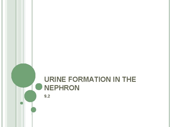 URINE FORMATION IN THE NEPHRON 9. 2 