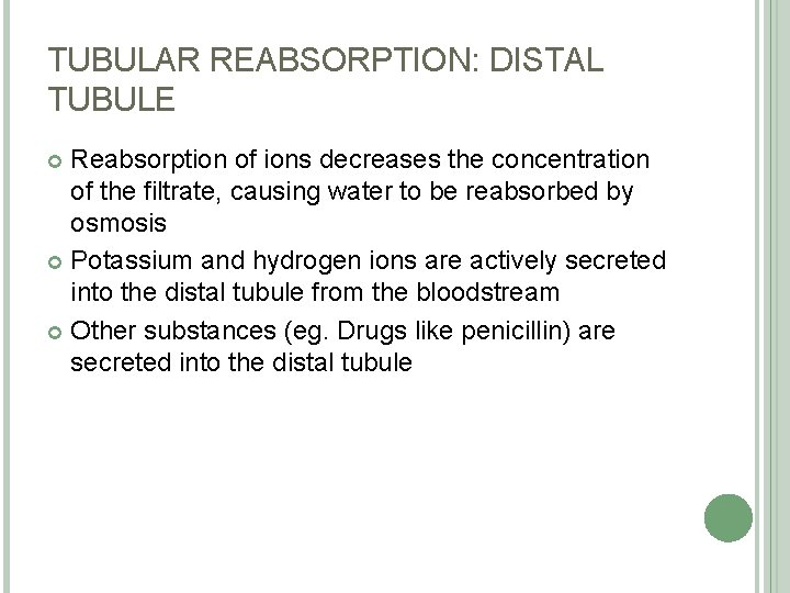 TUBULAR REABSORPTION: DISTAL TUBULE Reabsorption of ions decreases the concentration of the filtrate, causing