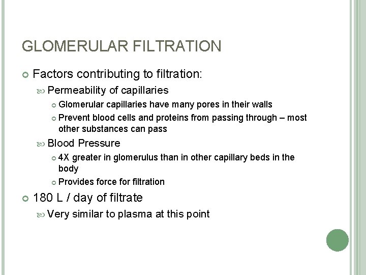 GLOMERULAR FILTRATION Factors contributing to filtration: Permeability of capillaries Glomerular capillaries have many pores