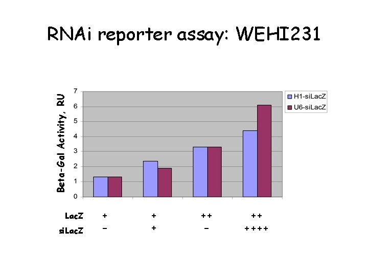 Beta-Gal Activity, RU RNAi reporter assay: WEHI 231 Lac. Z si. Lac. Z +