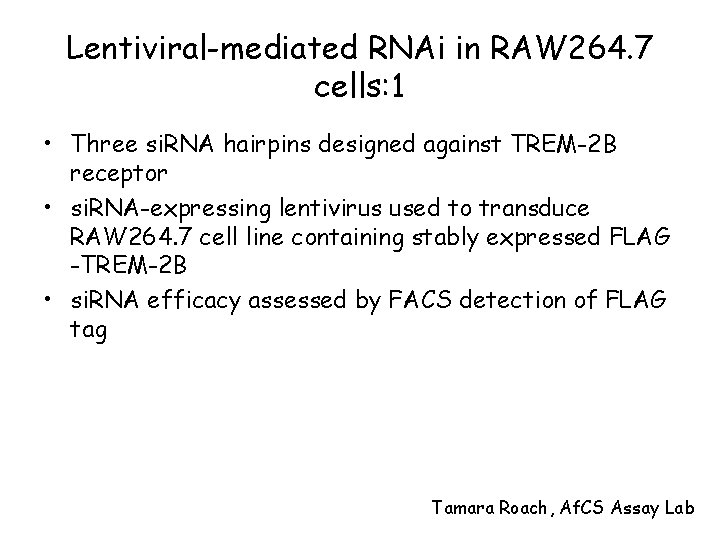 Lentiviral-mediated RNAi in RAW 264. 7 cells: 1 • Three si. RNA hairpins designed