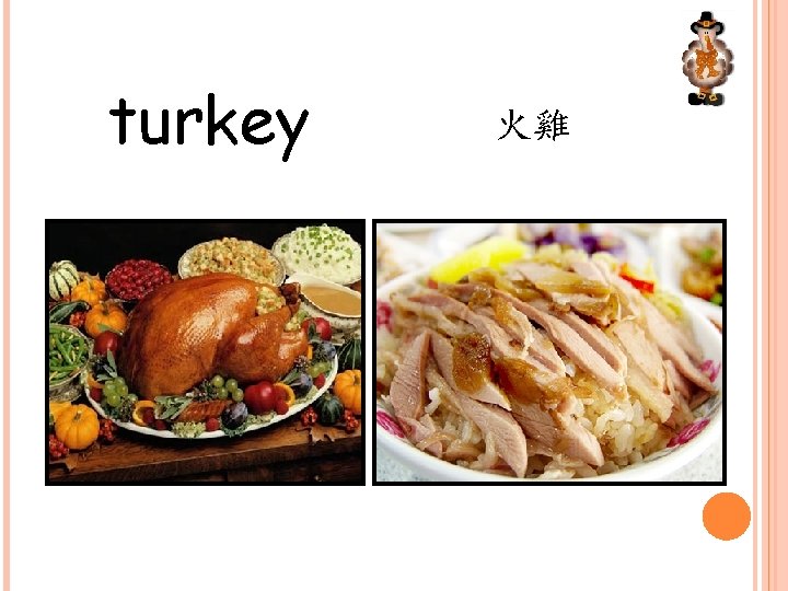 turkey 火雞 