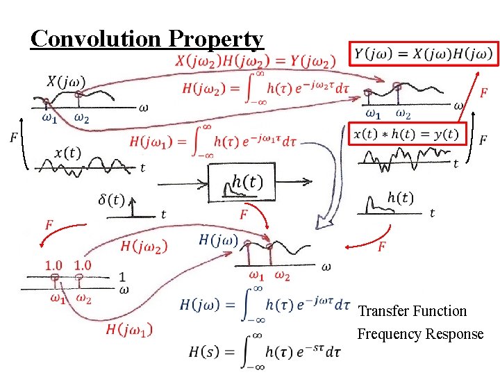 Convolution Property Transfer Function Frequency Response 