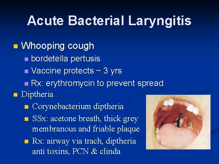 Acute Bacterial Laryngitis n Whooping cough bordetella pertusis n Vaccine protects ~ 3 yrs