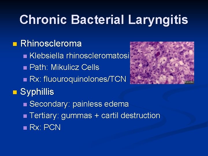 Chronic Bacterial Laryngitis n Rhinoscleroma Klebsiella rhinoscleromatosis n Path: Mikulicz Cells n Rx: fluouroquinolones/TCN