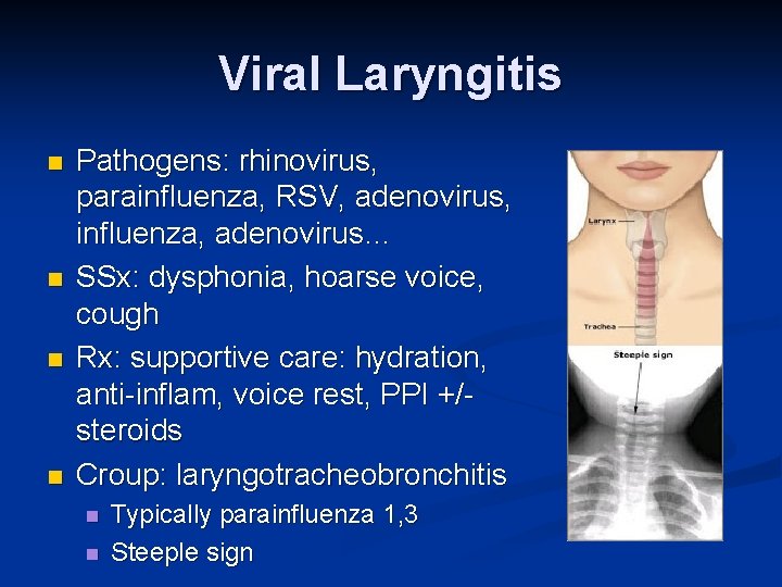 Viral Laryngitis n n Pathogens: rhinovirus, parainfluenza, RSV, adenovirus, influenza, adenovirus… SSx: dysphonia, hoarse