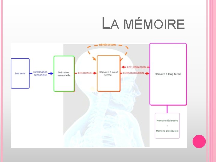 LA MMOIRE Par Claude Jacques PLAN DE LA