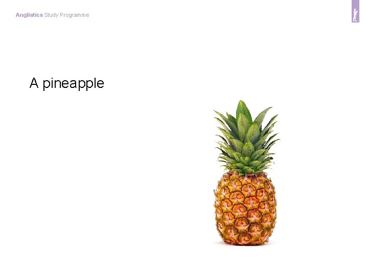 Anglistics Study Programme A pineapple 