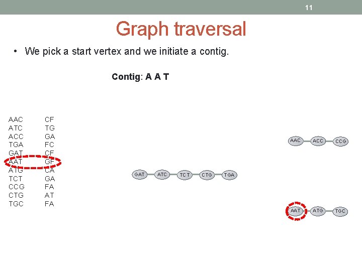 11 Graph traversal • We pick a start vertex and we initiate a contig.