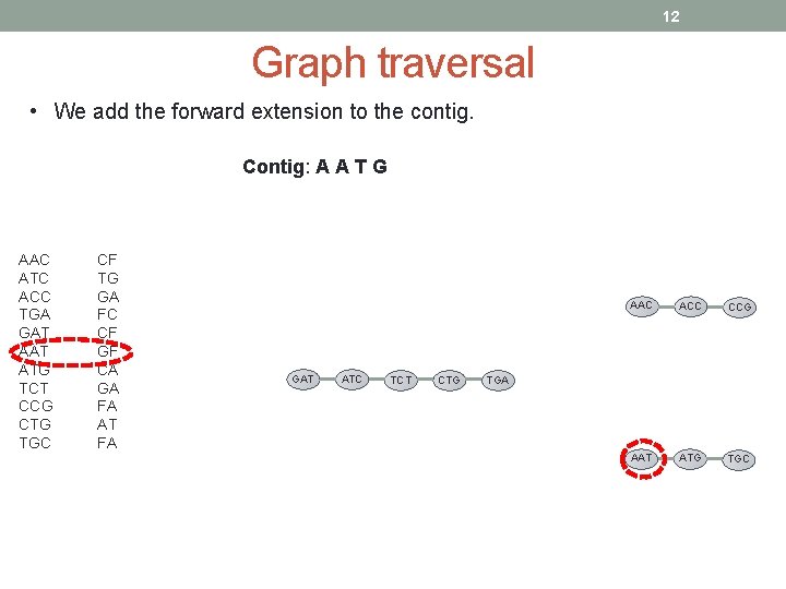 12 Graph traversal • We add the forward extension to the contig. Contig: A